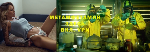 сатива Горняк