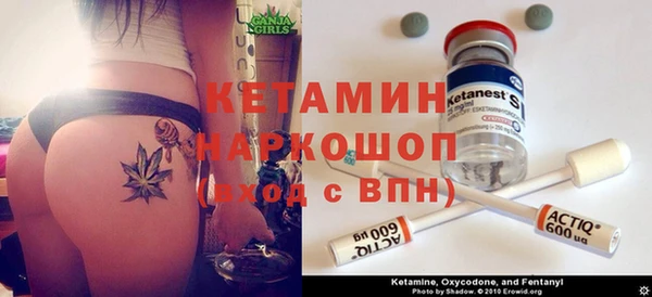сатива Горняк