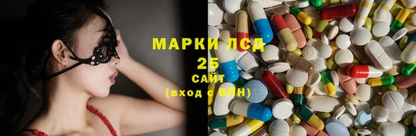 сатива Горняк