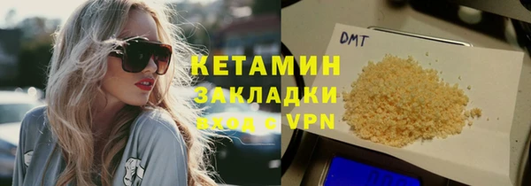 сатива Горняк