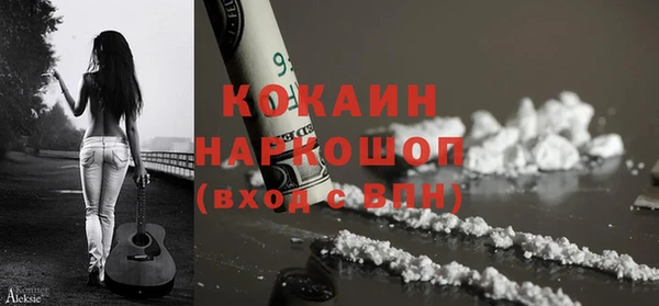 сатива Горняк