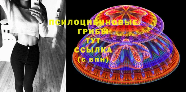 сатива Горняк