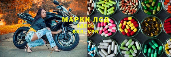 сатива Горняк