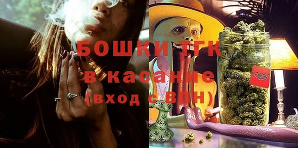 сатива Горняк