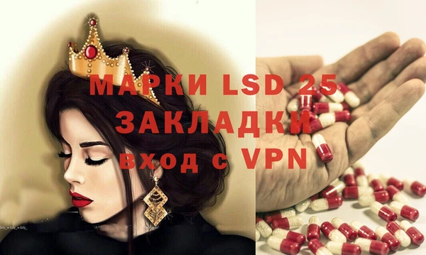сатива Горняк