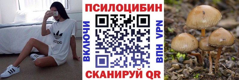 гидра маркетплейс  Курск  Псилоцибиновые грибы GOLDEN TEACHER 